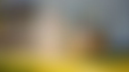 Best Real Estate Agent Collin County | Top Realtor Frisco, Plano, McKinney TX