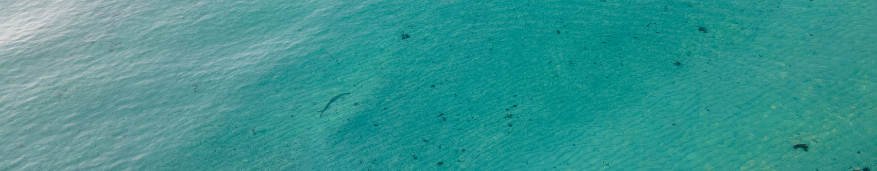 Paddleboard im Meer