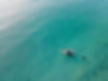 Floating in the Sea