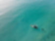 Floating in the Sea