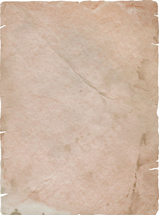 Struttura della carta dell'annata