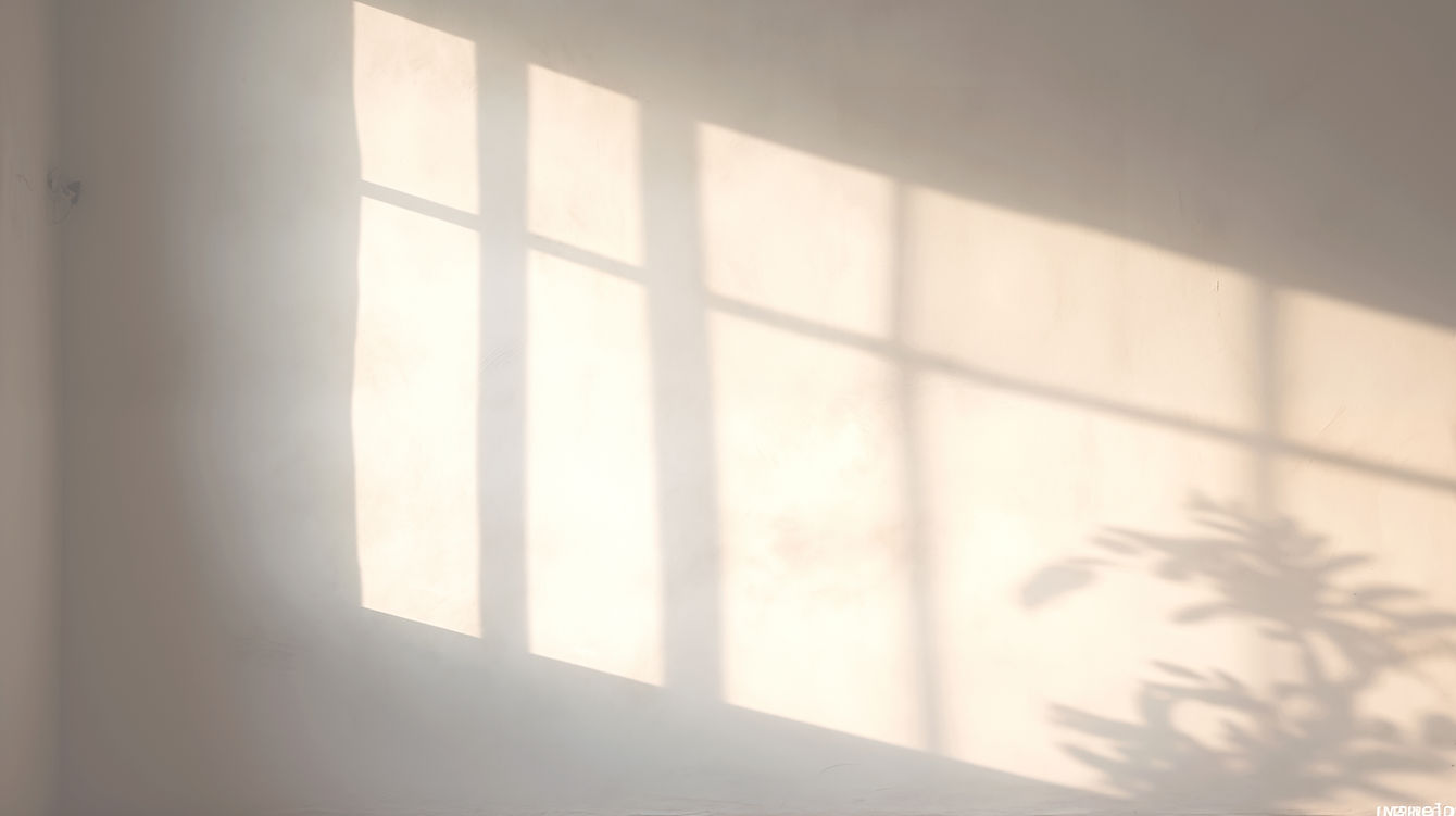 Window Reflection