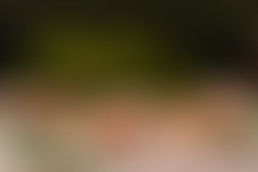 "Feeding" Your Relator