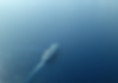Cruise Ship Sailing