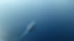 Sailing on Sea