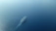 Sailing on Sea