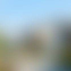 Comparing Dwelling vs. Homeowners Policies: What You Need to Know to Pass Your Property & Casualty Exam