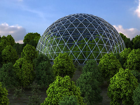 Forêt de dômes géodésiques