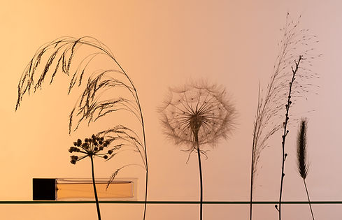 Botanical Perfume Setup
