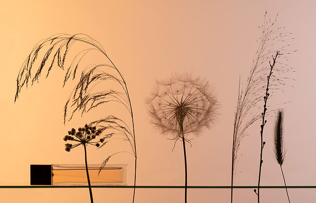 Botanical Perfume Setup