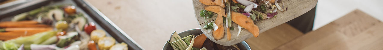 Food Waste Compost