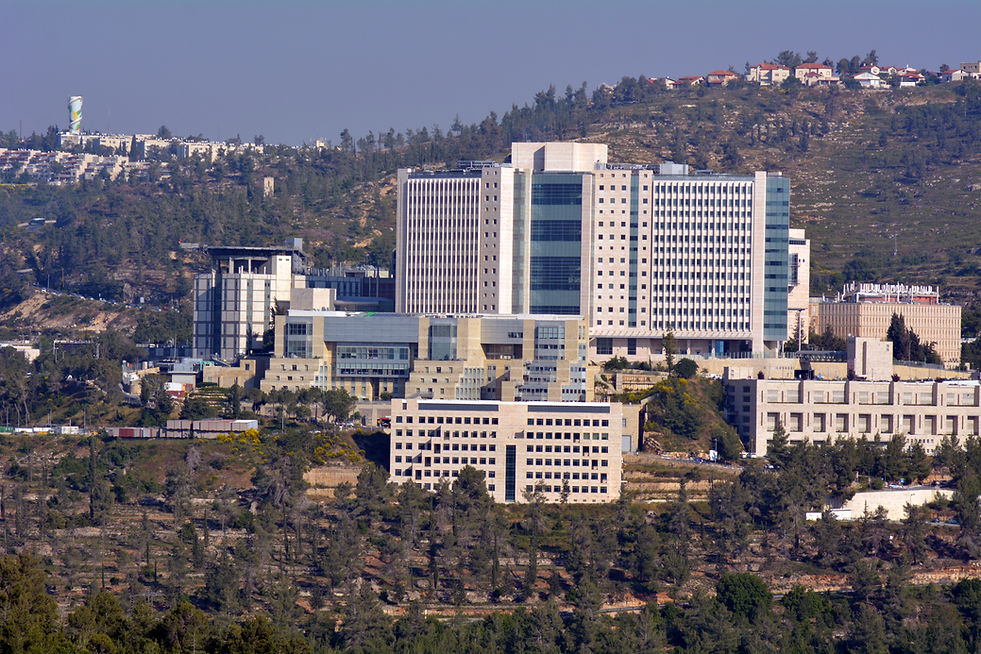 Medical Center