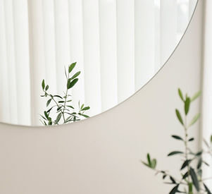 Plant Mirror Reflection