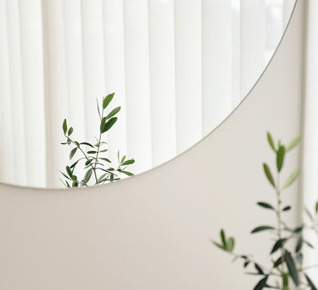 Plant Mirror Reflection