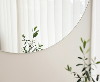 Plant Mirror Reflection