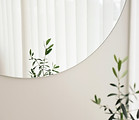 Reflexão de espelho de planta