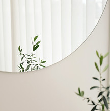 Plant Mirror Reflection