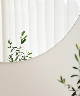 Plant Mirror Reflection