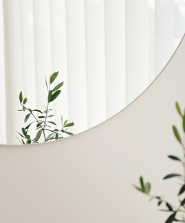 Plant Mirror Reflection