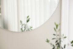 Plant Mirror Reflection