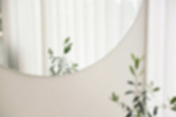Plant Mirror Reflection