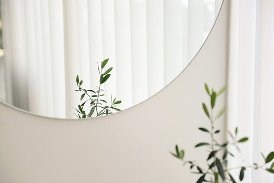 Minimalist Mirror Reflection