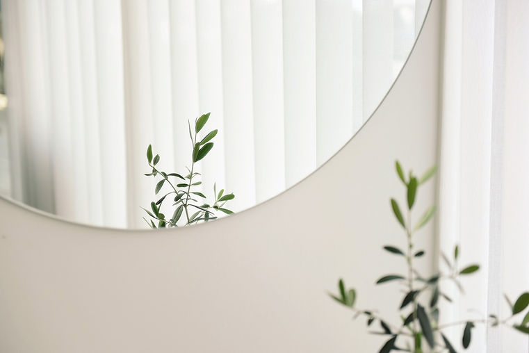 Plant Mirror Reflection