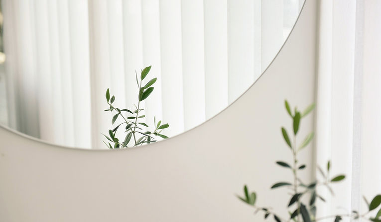 Plant Mirror Reflection