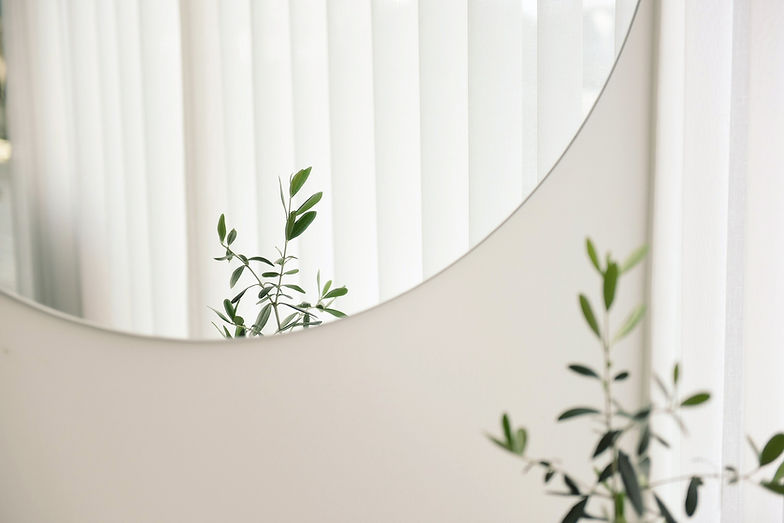 Plant Mirror Reflection