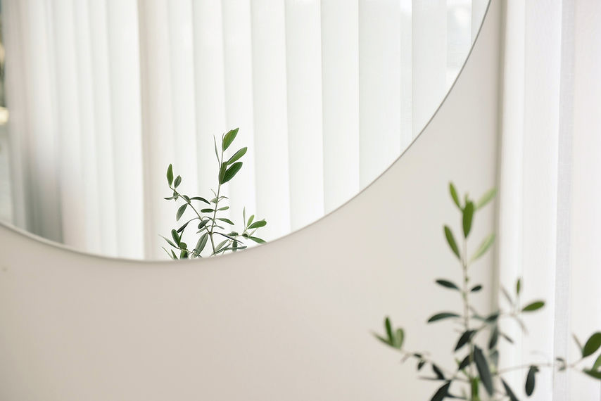 Plant Mirror Reflection
