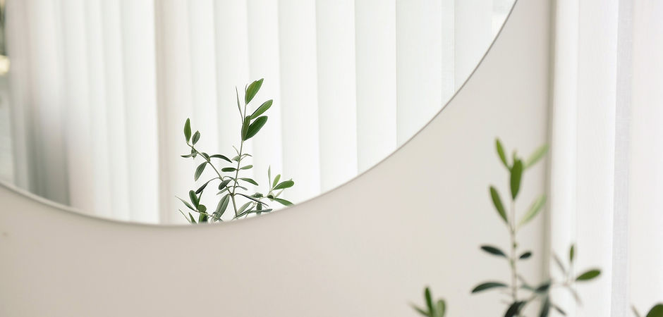 Plant Mirror Reflection