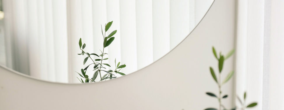 Plant Mirror Reflection