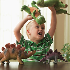 Dinosaur Fight