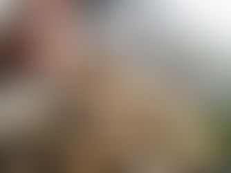 Machiya-Dori Food Guide: Where and What to Eat on Machiya Street