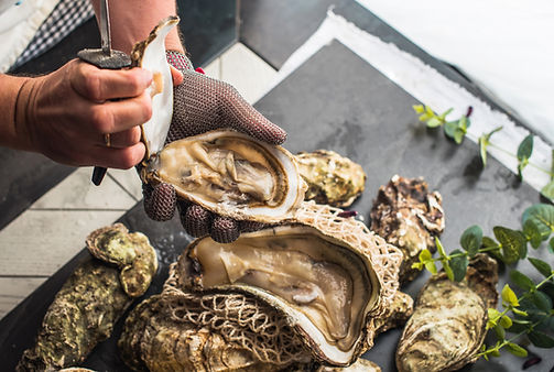 Oyster Shucking