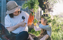 Joy of Harvest