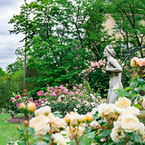 Garden Statue