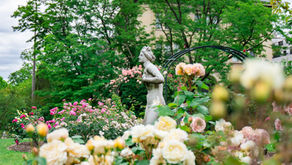 Opatrovanie člena rodiny