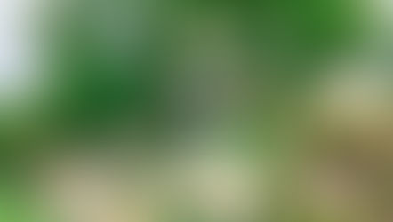 Opatrovanie člena rodiny