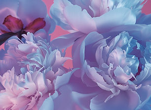 Pink And Blue Flowers