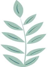 Plante verte minimaliste