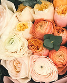 Bouquet of Peonies