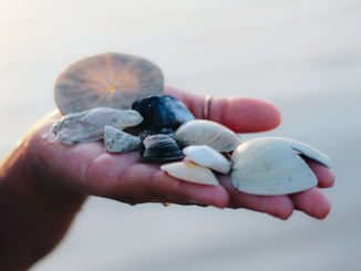 Alliteration: What Is It and How Can It Help You Write Better?