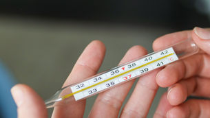 Gelbfieber: Eine Umfassende Analyse der Ursachen, Symptome, Prävention und Behandlung