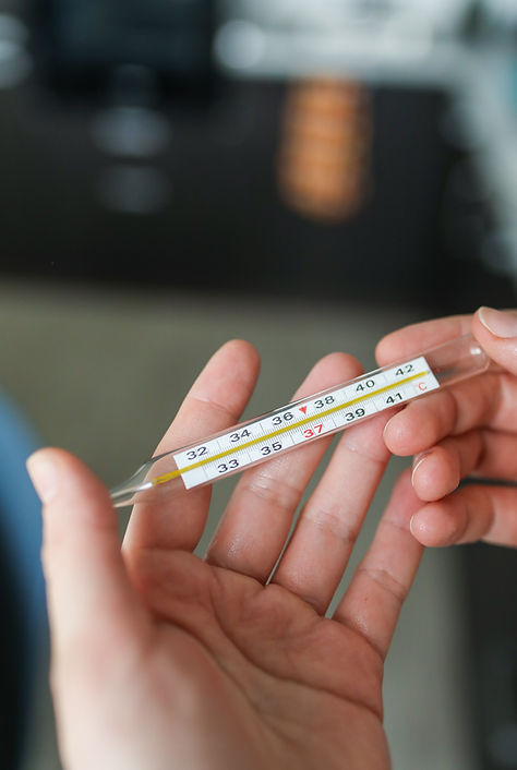 Holding Thermometer