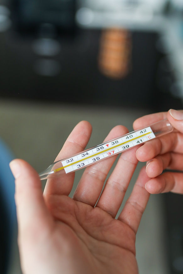 Holding Thermometer