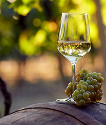 Wine glass