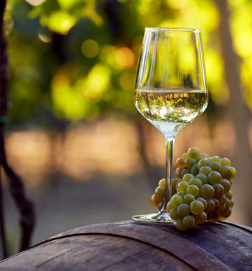 Wine glass
