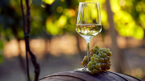 Helping Winery Streamline Talent Management Strategy with Cloud Solutions