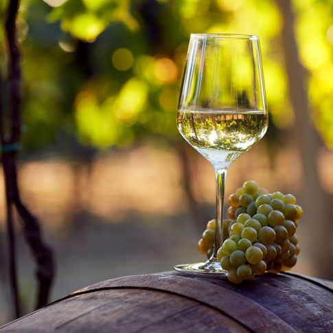 Wine glass